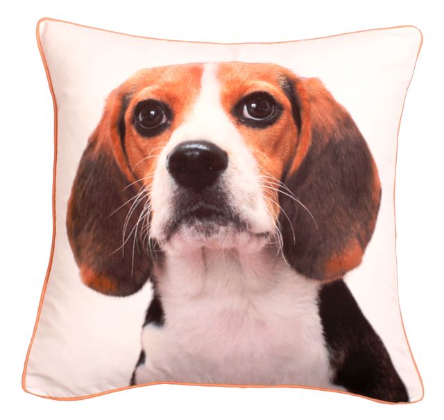 Intimates CHARLES PRINTED filled removable cushion
