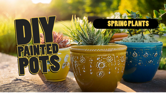 DIY Painted Pots for Spring Plants