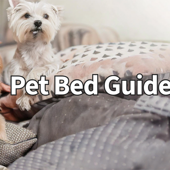 Everything You Need to Know About Choosing the Perfect Pet Bed