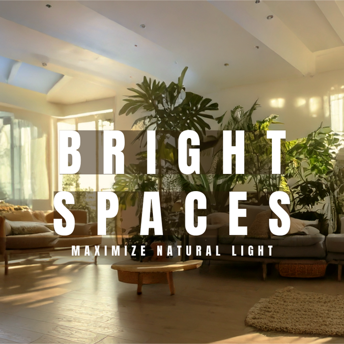 Maximise Natural Light in Every Room
