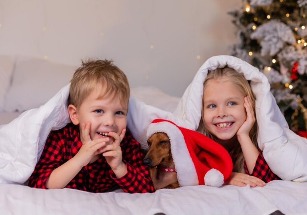 Experience the Magic of Christmas Nights: Transform Your Child's Bed with Our Enchanting Christmas Duvet Sets for a Santa Approved Slumber Party!