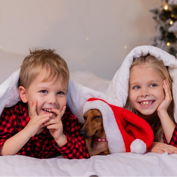 Experience the Magic of Christmas Nights: Transform Your Child's Bed with Our Enchanting Christmas Duvet Sets for a Santa Approved Slumber Party!