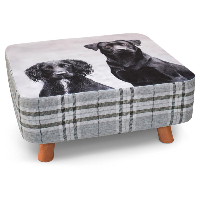 Luxury Dogs Square Footstool